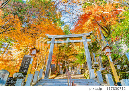 東京 紅葉に染まる武蔵御嶽神社　霧の御坂の鳥居 117830712