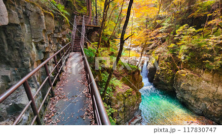 巌立峡（秋） 117830747