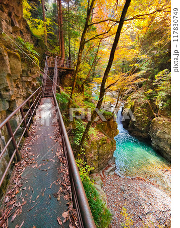 巌立峡（秋） 117830749