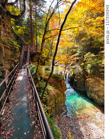 巌立峡(秋) 巌立峡(秋) 117830848