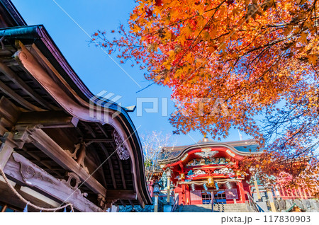 東京 紅葉に染まる武蔵御嶽神社　拝殿 117830903