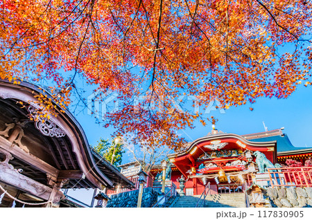 東京 紅葉に染まる武蔵御嶽神社　拝殿 117830905
