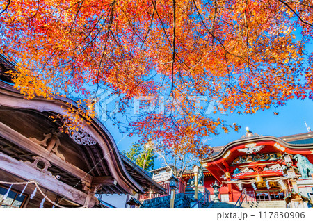東京 紅葉に染まる武蔵御嶽神社　拝殿 117830906