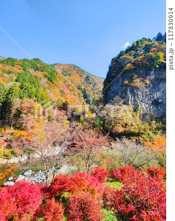 巌立峡（秋） 117830914