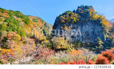 巌立峡（秋） 117830916