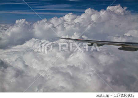 飛行機から見た入道雲 117830935