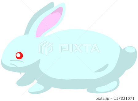 ニュージーランドホワイト ニュージーランドホワイト 117831071