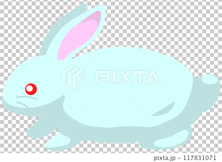 ニュージーランドホワイト ニュージーランドホワイト 117831071