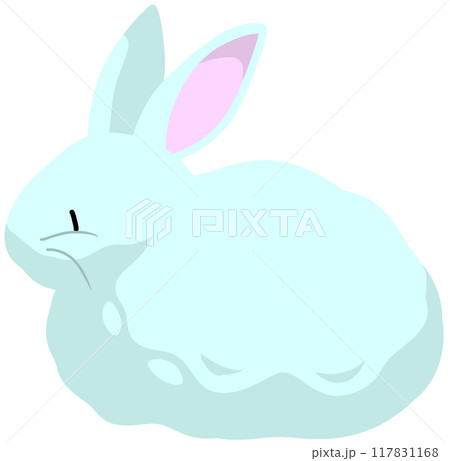 アンゴラウサギ 117831168