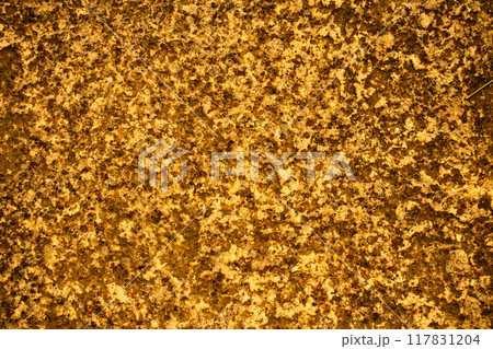 京都・醍醐の石 京都・醍醐の石 117831204