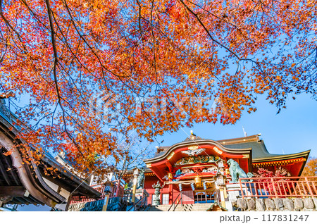 東京 紅葉に染まる武蔵御嶽神社　幣殿・拝殿 117831247