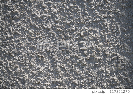 住宅の白いゴツゴツした外壁 117831270