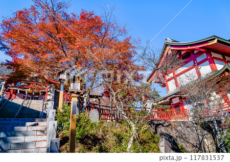 東京 紅葉に染まる武蔵御嶽神社 宝物殿と拝殿 東京 紅葉に染まる武蔵御嶽神社 宝物殿と拝殿 117831537