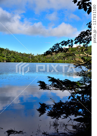 《長野県》白駒池 117831580