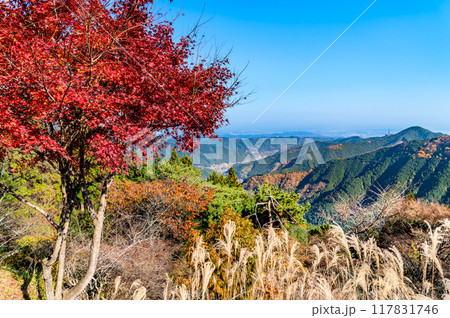 東京 紅葉の御岳山から望む青梅市街 東京 紅葉の御岳山から望む青梅市街 117831746