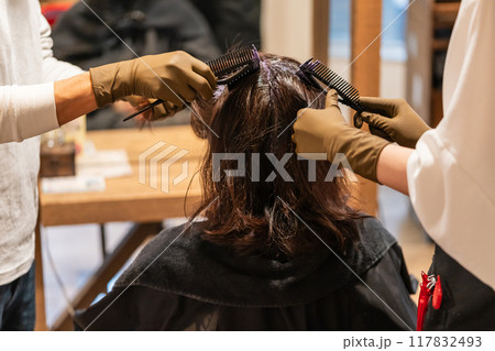 beauty parlor beauty parlor 117832493