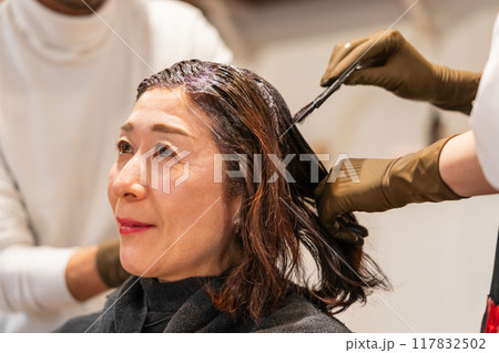 beauty parlor beauty parlor 117832502