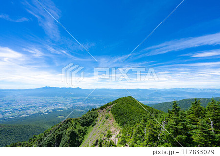 【山素材】夏のトーミの頭から見る善光寺平方面【長野県】 117833029