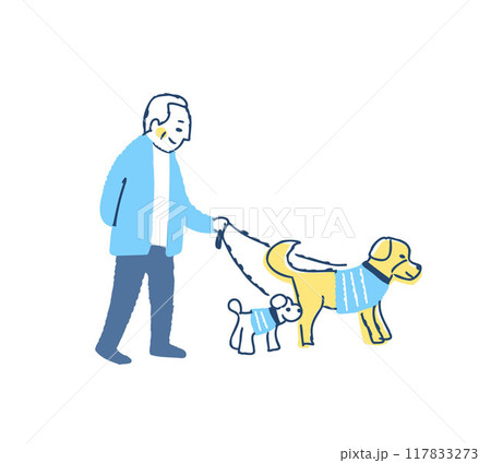 2匹の犬の散歩をしているシニア男性 117833273