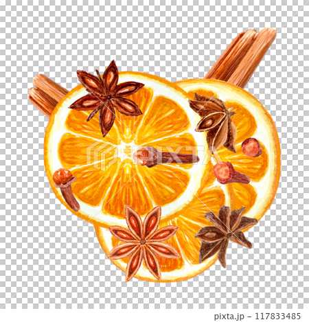 Slice of orange with cinnamon, star anise, cloves watercolor composition isolated on white. High quality hand drawn art with detailed texture. Perfect for culinary, menu, food logo, Christmas design 117833485