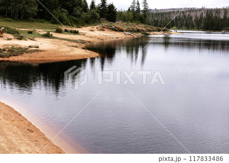 Sandy shore of the lake. Beautiful nature with a lake near the forest.A lake 117833486