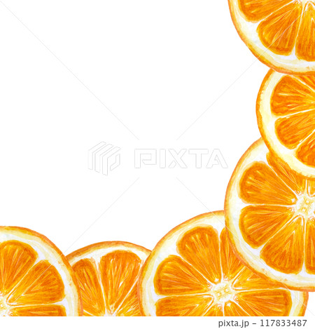 Bright citrus, orange slice corner frame in watercolor isolated on white. High quality hand drawn art for packages, cards, posters, restaurant menu, natural organic food logo, Christmas design 117833487