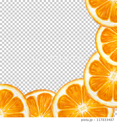 Bright citrus, orange slice corner frame in watercolor isolated on white. High quality hand drawn art for packages, cards, posters, restaurant menu, natural organic food logo, Christmas design 117833487
