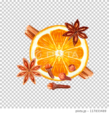 Slice of orange with cinnamon, star anise, cloves watercolor composition isolated on white. High quality hand drawn art with detailed texture. Perfect for culinary, menu, food logo, Christmas design Slice of orange with cinnamon, star anise, cloves watercolor composition isolated on white. High quality hand drawn art with detailed texture. Perfect for culinary, menu, food logo, Christmas design 117833489