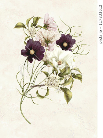 秋に使えるコスモスと銀木犀の花をあわせた挿絵素材 秋に使えるコスモスと銀木犀の花をあわせた挿絵素材 117833612