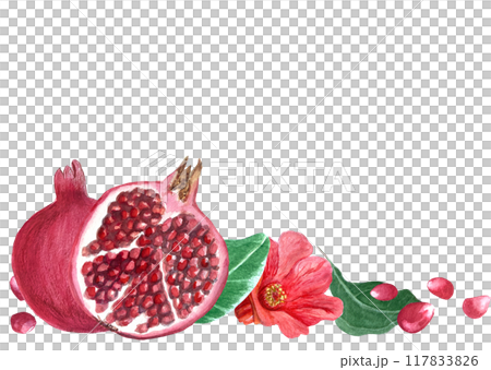 Red pomegranate with seeds, flower and green leafs detailed watercolor bordur isolated on white. Hand drawn realistic banner for fall harvest cards, culinary designs, home decor, prints. Autumn 117833826