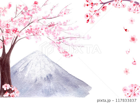 Pink sakura tree, flowers and a mountain vertical card isolated on white. Watercolor hand painted high quality nature design elements great for banners, beauty salons, oriental design, Japan tourist Pink sakura tree, flowers and a mountain vertical card isolated on white. Watercolor hand painted high quality nature design elements great for banners, beauty salons, oriental design, Japan tourist 117833837