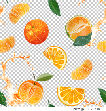 Green orange, mandarine, whole, sliced with juice splashing watercolor seamless pattern isolated on white, hand drawn for culinary, textile, packages design, wrapping paper, posters, cafe menu decor Green orange, mandarine, whole, sliced with juice splashing watercolor seamless pattern isolated on white, hand drawn for culinary, textile, packages design, wrapping paper, posters, cafe menu decor 117833838