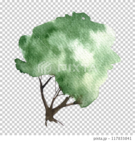 Green tree isolated on white. Hand painted high quality watercolor illustration of a bush. Great as a design element for landscapes, garden theme, wallpaper, posters, eco materials, cards, tote bags Green tree isolated on white. Hand painted high quality watercolor illustration of a bush. Great as a design element for landscapes, garden theme, wallpaper, posters, eco materials, cards, tote bags 117833841