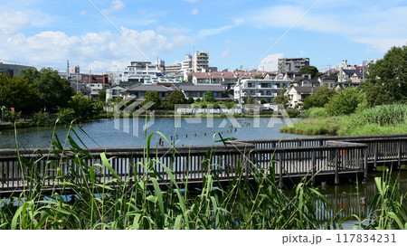 小池公園　東京都大田区 117834231