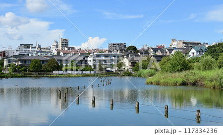 小池公園　東京都大田区 117834236