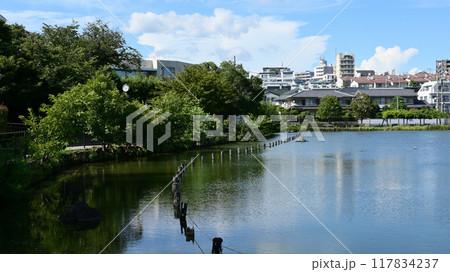 小池公園　東京都大田区 117834237