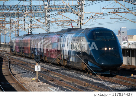 上越新幹線 E3系 R19編成(現美新幹線) 上越新幹線 E3系 R19編成(現美新幹線) 117834427