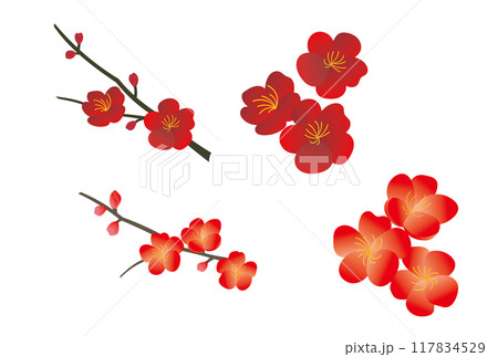 梅の花のイラスト素材（枝付き、枝なし） 117834529