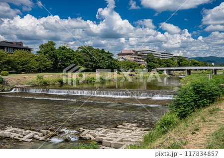 京都鴨川夏景色 117834857