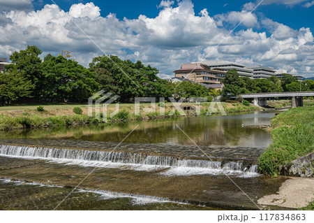 京都鴨川夏景色 117834863
