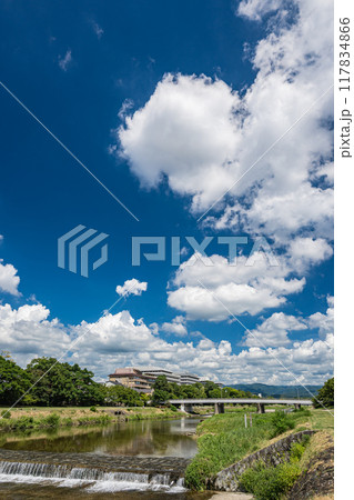 京都鴨川夏景色 京都鴨川夏景色 117834866