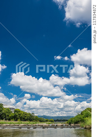 京都鴨川夏景色 117834872