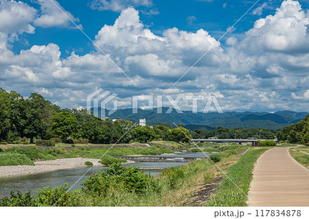 京都鴨川夏景色 117834878