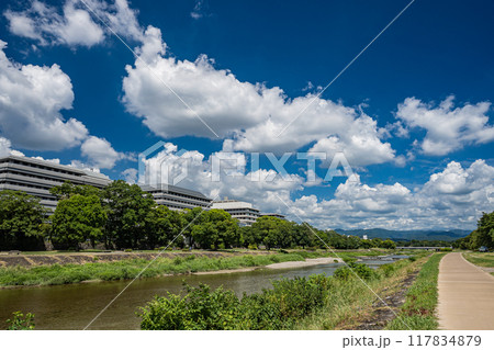 京都鴨川夏景色 京都鴨川夏景色 117834879