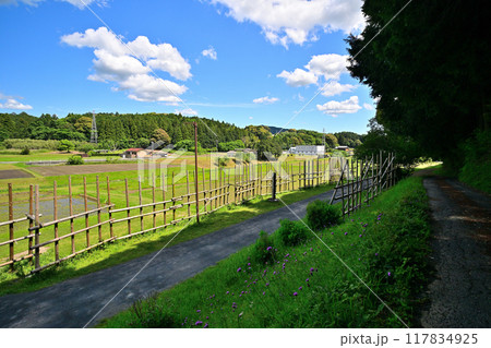 新城市 よく晴れた日の設楽原決戦場（設楽原古戦場）の様子 117834925