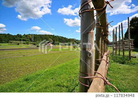 新城市 よく晴れた日の設楽原決戦場（設楽原古戦場）の様子 117834948