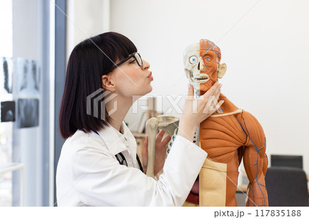 Medical student examining anatomical mannequin in classroom 117835188