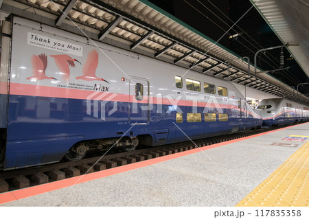上越新幹線 E4系 Max P82編成(引退ラッピング仕様) 上越新幹線 E4系 Max P82編成(引退ラッピング仕様) 117835358