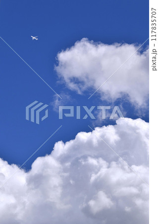 日本の横浜都市景観 夏空。猛烈な暑さが続く日本列島…巨大な雲が上空に…＝8月26日、横浜から 117835707