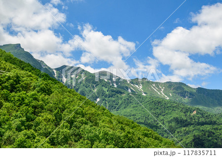 層雲峡黒岳山麓を歩く 117835711